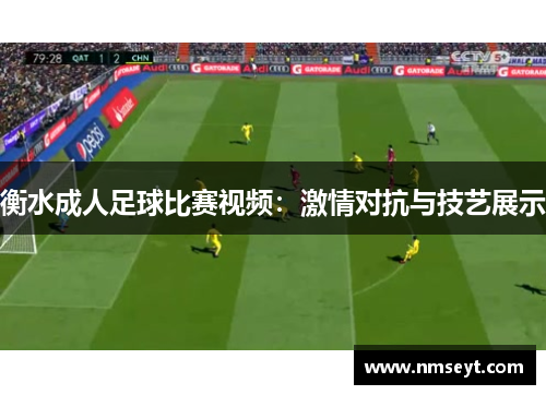 衡水成人足球比赛视频：激情对抗与技艺展示